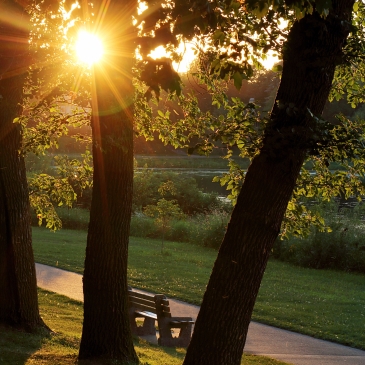 Walking Path and Park Bench Bathed in Gold Sunlight