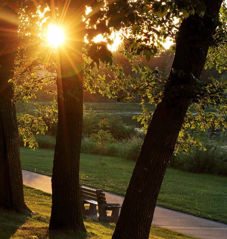 Walking Path and Park Bench Bathed in Gold Sunlight